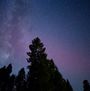 Asterreport