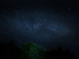 Asterreport